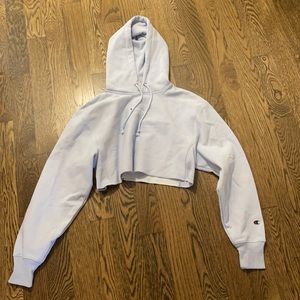 Light blue champion cropped hoodie NWOT small